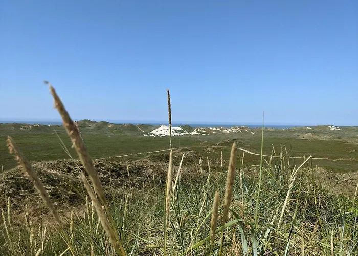 Dom wakacyjny 5 Person In Hvide Sande