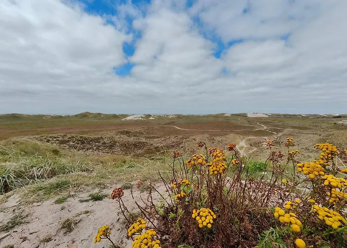5 Person In Dom wakacyjny Hvide Sande
